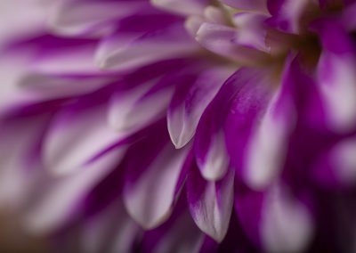 MG 7162b kopieren 1920