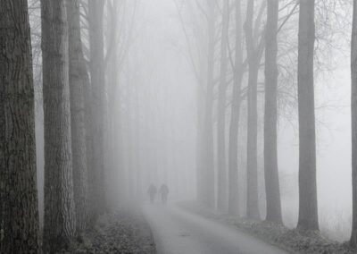 16385 338743356244783 461451135 n